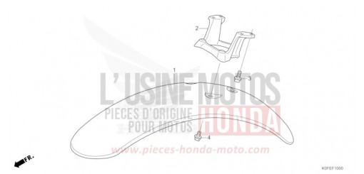 KOTFLUEGEL, VORNE Z125MAS de 2025